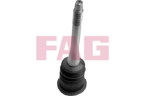 FAG 825 0238 10 Ball joint 825023810: Buy near me in Poland at 2407.PL - Good price!