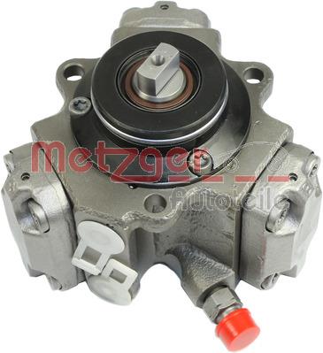 Metzger 0830012 Injection Pump 0830012: Buy near me in Poland at 2407.PL - Good price!