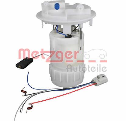 Metzger 2250202 Fuel pump 2250202: Buy near me in Poland at 2407.PL - Good price!
