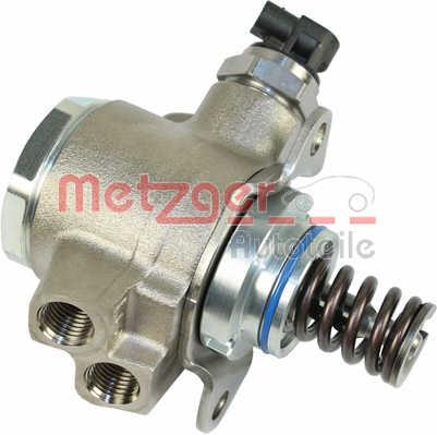Metzger 2250224 Injection Pump 2250224: Buy near me in Poland at 2407.PL - Good price!