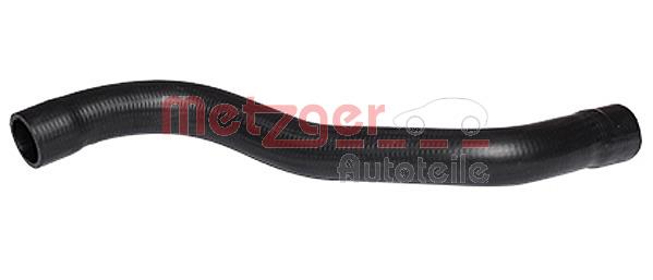 Metzger 2420146 Radiator hose 2420146: Buy near me in Poland at 2407.PL - Good price!