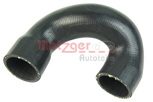 Metzger 2420631 Radiator hose 2420631: Buy near me in Poland at 2407.PL - Good price!