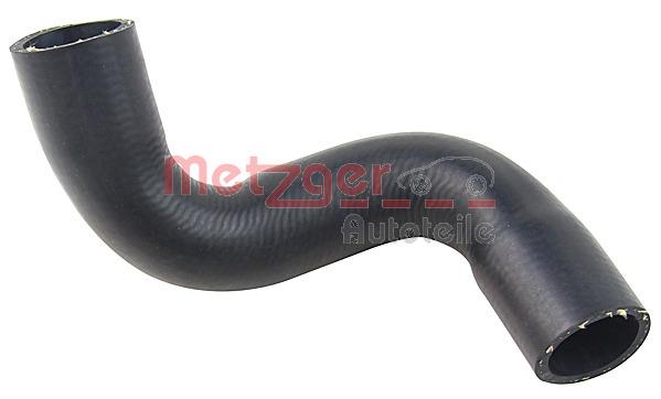 Metzger 2420646 Radiator hose 2420646: Buy near me in Poland at 2407.PL - Good price!