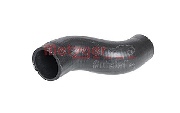 Metzger 2420697 Radiator hose 2420697: Buy near me in Poland at 2407.PL - Good price!