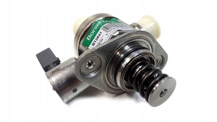 Borsehung B13841 Injection Pump B13841: Buy near me in Poland at 2407.PL - Good price!