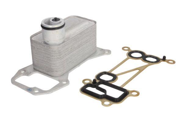 Thermotec D4B019TT Oil cooler D4B019TT: Buy near me in Poland at 2407.PL - Good price!