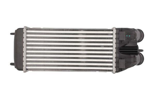 Buy Thermotec DAP003TT at a low price in Poland!