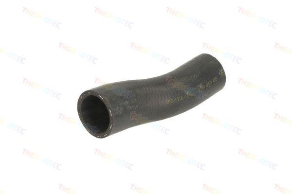 Thermotec DWP050TT Radiator Hose DWP050TT: Buy near me at 2407.PL in Poland at an Affordable price!
