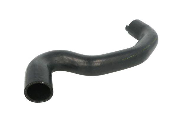 Thermotec DWP100TT Radiator Hose DWP100TT: Buy near me at 2407.PL in Poland at an Affordable price!