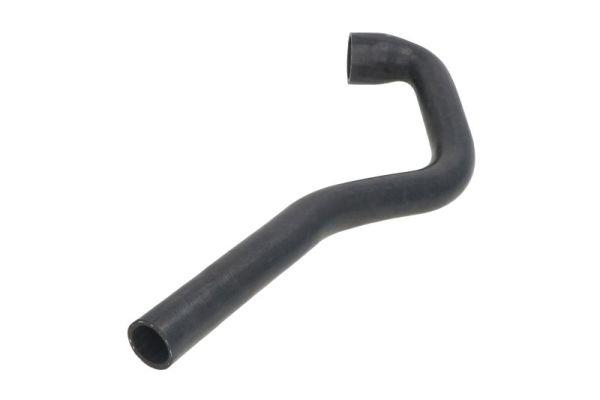 Thermotec DWV020TT Radiator Hose DWV020TT: Buy near me in Poland at 2407.PL - Good price!