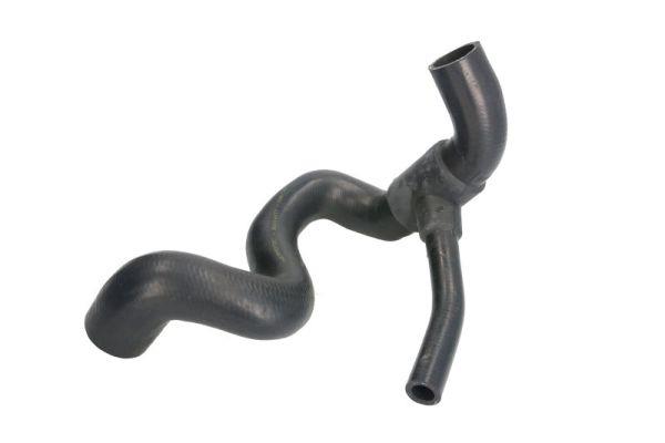 Thermotec DWX144TT Radiator Hose DWX144TT: Buy near me at 2407.PL in Poland at an Affordable price!