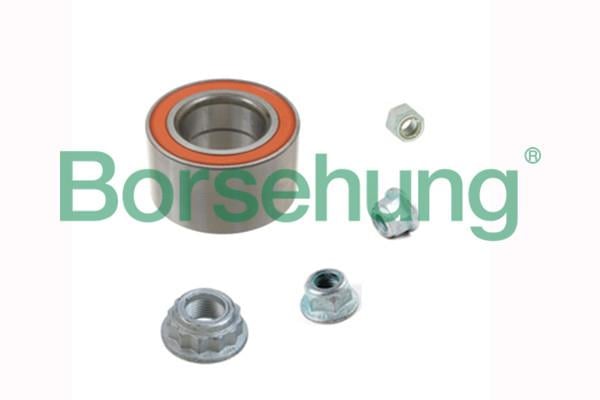 Borsehung B15959 Wheel bearing B15959: Buy near me at 2407.PL in Poland at an Affordable price!