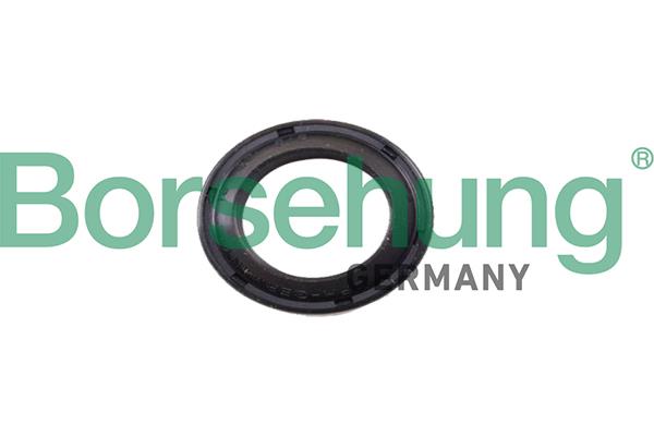 Borsehung B17833 Ring sealing B17833: Buy near me in Poland at 2407.PL - Good price!