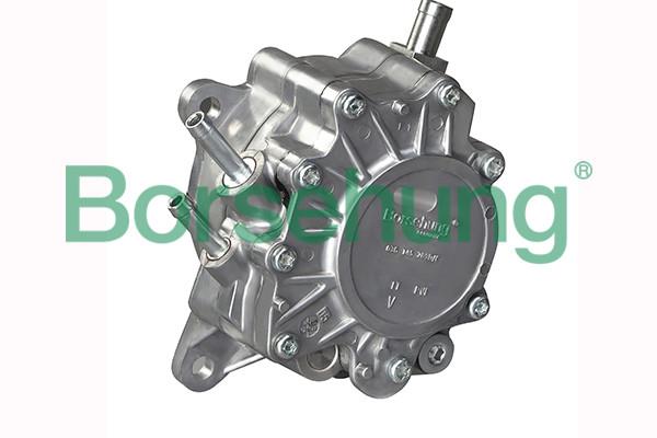 Borsehung B17906 Vacuum pump B17906: Buy near me in Poland at 2407.PL - Good price!