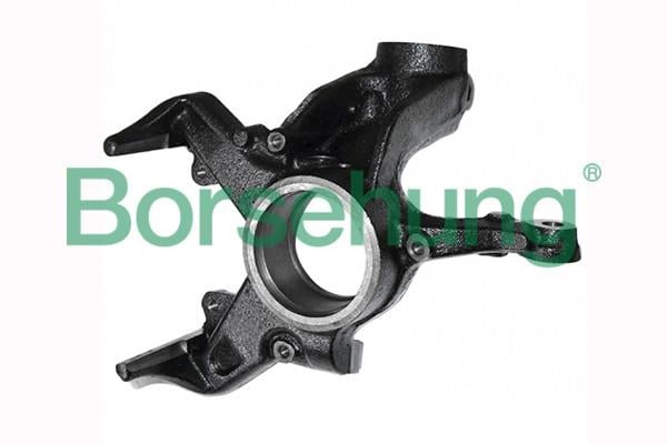 Borsehung B17941 Steering Knuckle, wheel suspension B17941: Buy near me in Poland at 2407.PL - Good price!