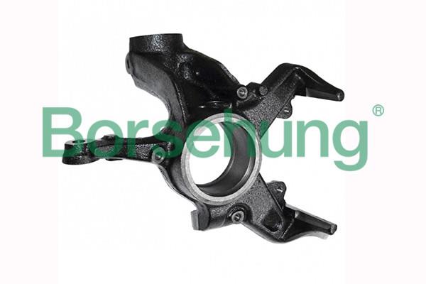Borsehung B17942 Steering Knuckle, wheel suspension B17942: Buy near me at 2407.PL in Poland at an Affordable price!