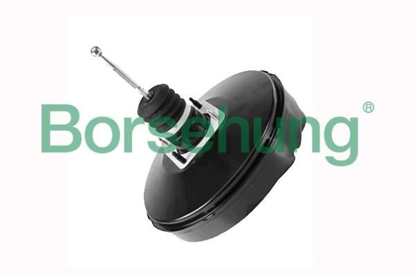 Borsehung B17950 Brake Booster B17950: Buy near me in Poland at 2407.PL - Good price!