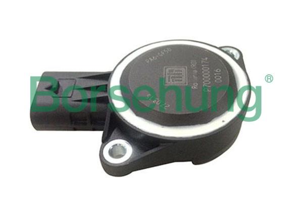 Borsehung B17951 Steering wheel position sensor B17951: Buy near me in Poland at 2407.PL - Good price!