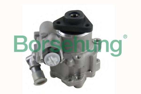 Borsehung B18224 Pump B18224: Buy near me in Poland at 2407.PL - Good price!