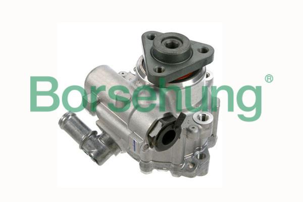 Borsehung B18226 Pump B18226: Buy near me in Poland at 2407.PL - Good price!