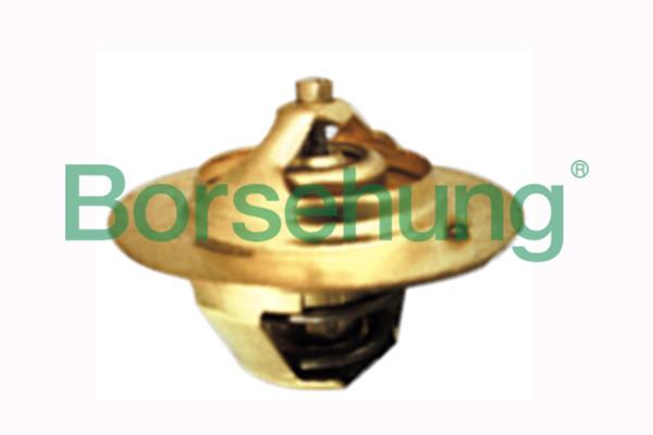 Borsehung B18231 Thermostat, coolant B18231: Buy near me in Poland at 2407.PL - Good price!