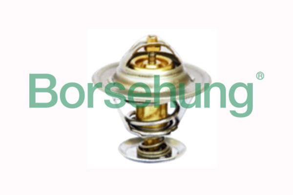 Borsehung B18244 Термостат, охолоджувальна рідина B18244: Приваблива ціна - Купити у Польщі на 2407.PL!
