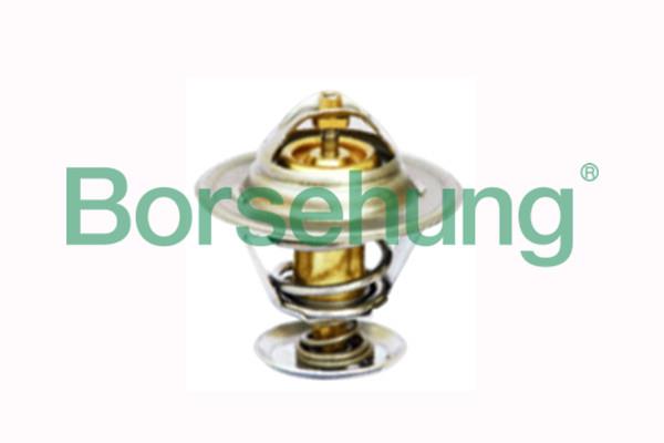 Borsehung B18245 Thermostat, coolant B18245: Buy near me in Poland at 2407.PL - Good price!