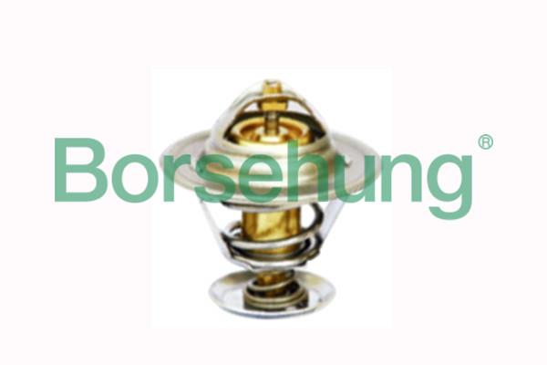 Borsehung B18246 Термостат, охолоджувальна рідина B18246: Приваблива ціна - Купити у Польщі на 2407.PL!