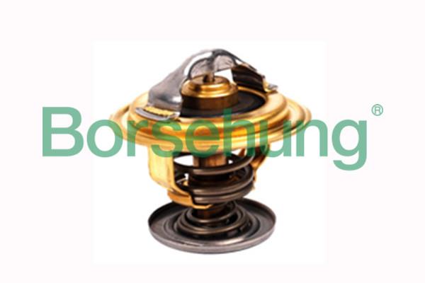 Borsehung B18256 Thermostat, coolant B18256: Buy near me in Poland at 2407.PL - Good price!