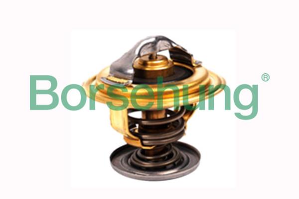 Borsehung B18258 Thermostat, coolant B18258: Buy near me in Poland at 2407.PL - Good price!
