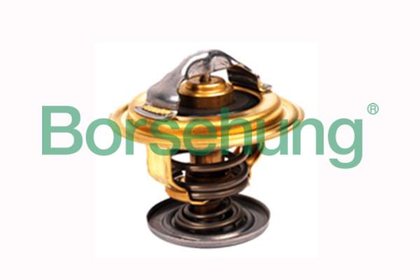 Borsehung B18259 Thermostat, coolant B18259: Buy near me at 2407.PL in Poland at an Affordable price!
