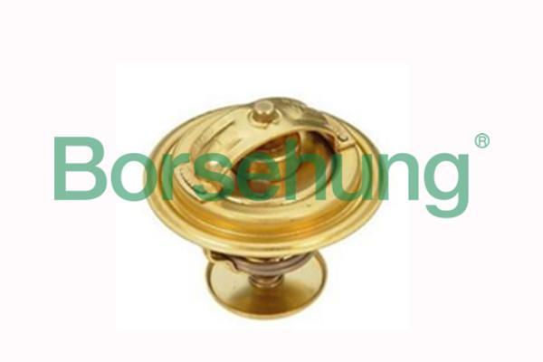 Borsehung B18262 Thermostat, coolant B18262: Buy near me in Poland at 2407.PL - Good price!