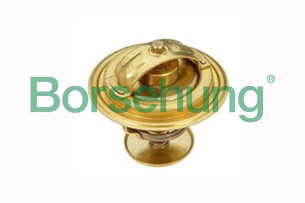 Borsehung B18265 Thermostat, coolant B18265: Buy near me in Poland at 2407.PL - Good price!