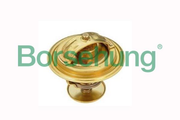 Borsehung B18268 Thermostat, coolant B18268: Buy near me in Poland at 2407.PL - Good price!