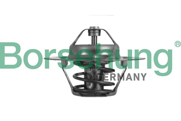 Borsehung B18280 Термостат, охолоджувальна рідина B18280: Приваблива ціна - Купити у Польщі на 2407.PL!