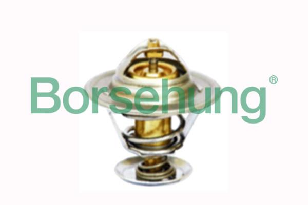 Borsehung B18281 Thermostat, coolant B18281: Buy near me in Poland at 2407.PL - Good price!