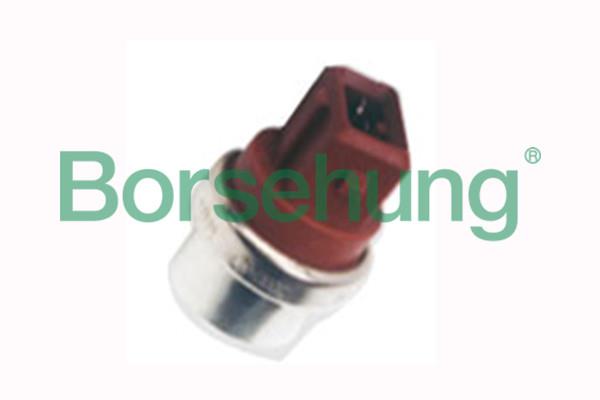 Borsehung B18289 Fan switch B18289: Buy near me in Poland at 2407.PL - Good price!