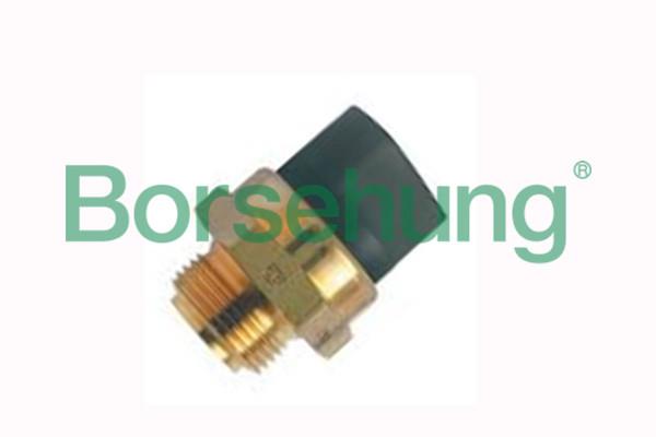 Borsehung B18291 Fan switch B18291: Buy near me at 2407.PL in Poland at an Affordable price!