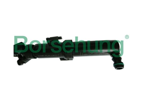 Borsehung B18482 Injector nozzle, diesel injection system B18482: Buy near me in Poland at 2407.PL - Good price!