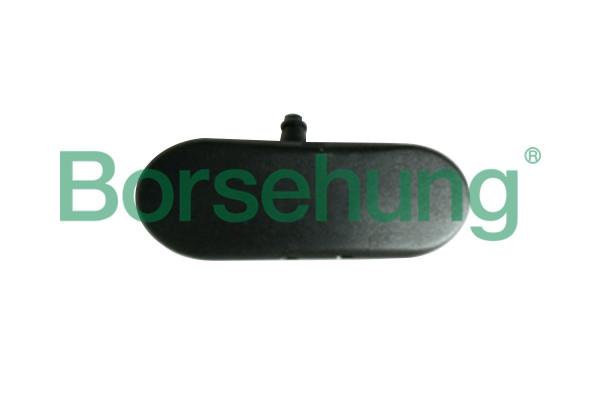 Borsehung B18496 Injector nozzle, diesel injection system B18496: Buy near me in Poland at 2407.PL - Good price!