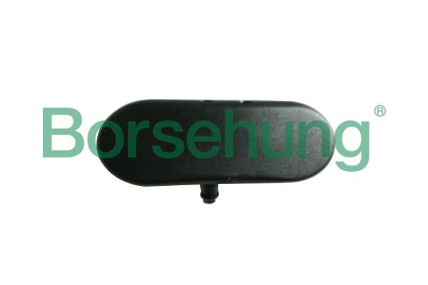 Borsehung B18497 Injector nozzle, diesel injection system B18497: Buy near me in Poland at 2407.PL - Good price!