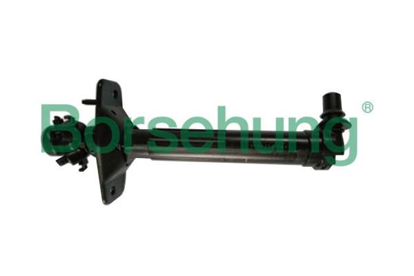 Borsehung B18504 Injector nozzle, diesel injection system B18504: Buy near me in Poland at 2407.PL - Good price!