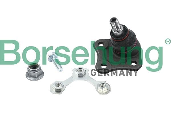Borsehung B18701 Ball joint B18701: Buy near me in Poland at 2407.PL - Good price!