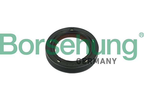 Borsehung B18729 Camshaft oil seal B18729: Buy near me in Poland at 2407.PL - Good price!