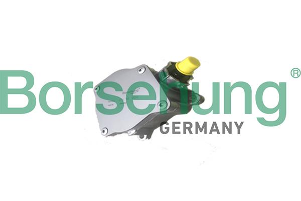 Borsehung B18774 Vacuum pump B18774: Buy near me in Poland at 2407.PL - Good price!