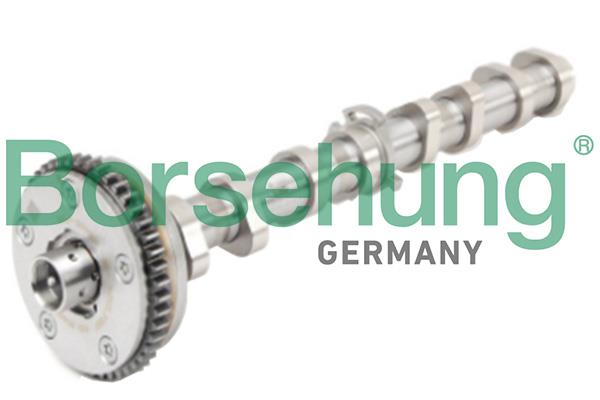 Borsehung B18979 Camshaft in B18979: Buy near me in Poland at 2407.PL - Good price!