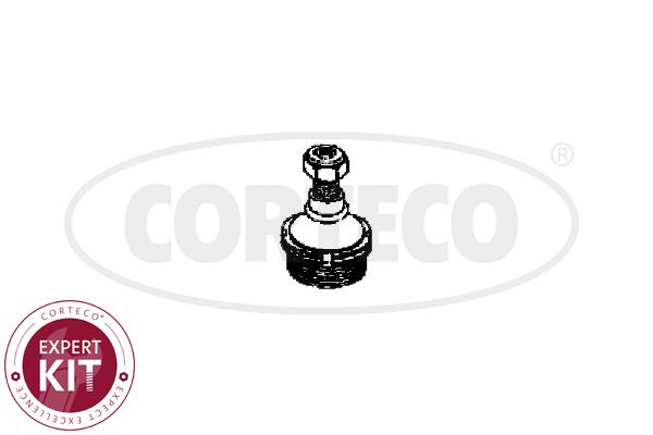 Corteco 49395635 Ball joint 49395635: Buy near me in Poland at 2407.PL - Good price!