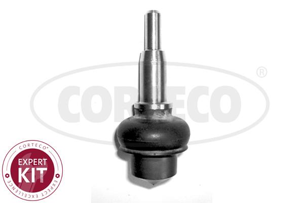 Corteco 49395637 Ball joint 49395637: Buy near me in Poland at 2407.PL - Good price!