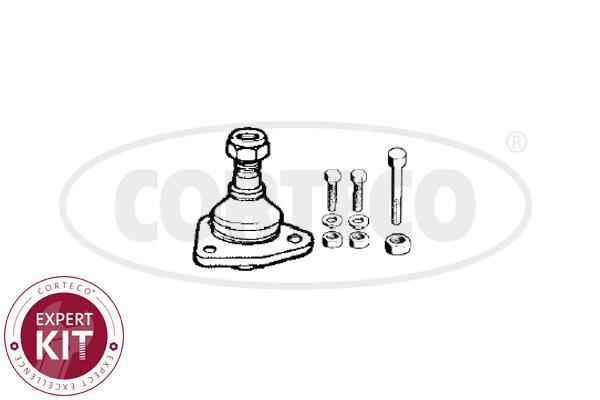 Corteco 49395641 Ball joint 49395641: Buy near me in Poland at 2407.PL - Good price!