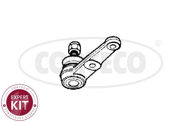 Corteco 49395649 Front lower arm ball joint 49395649: Buy near me in Poland at 2407.PL - Good price!